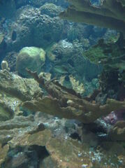 100_1305.JPG