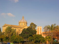 Andalucia0022.JPG