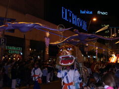 DSCN1469.JPG