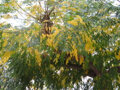 100_0303.JPG