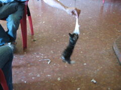 100_3164.JPG