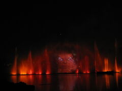 100_0446.JPG