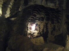100_3428.JPG