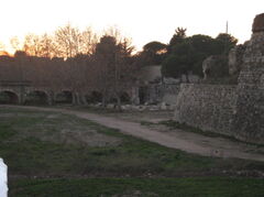100_1055.JPG