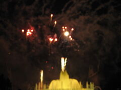 100_4065.JPG