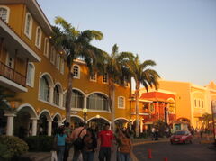 IMG_7056.JPG
