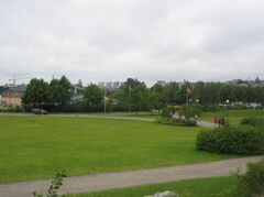 141_4170.JPG