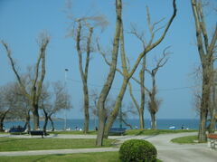 100_1855.JPG
