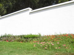 100_3384.JPG