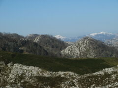 100_2005.JPG