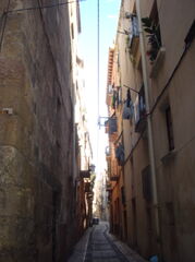 DSC01009.JPG