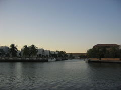 IMG_7051.JPG