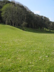 100_1736.JPG