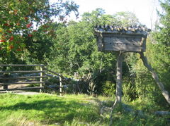 142_4242.JPG