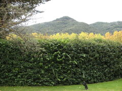 100_0212.JPG
