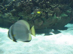100_1312.JPG