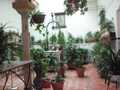 100_3248.JPG